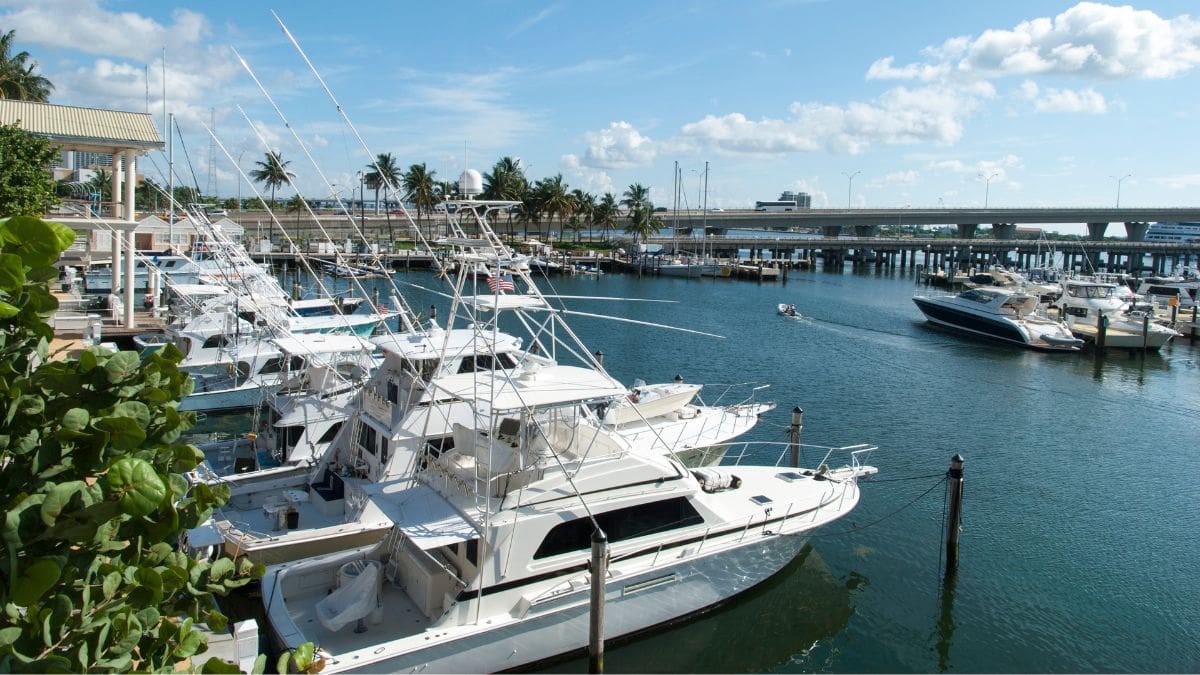 How Boat Management Software Enhances Marina Operations